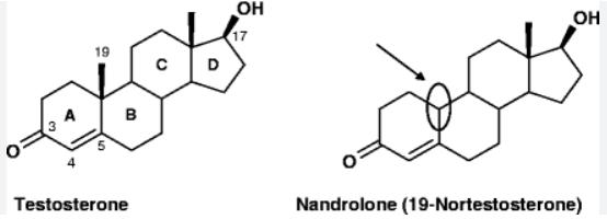 Nandrolone vs testosterone, to know why use NPP nandrolone phenylpropionate?