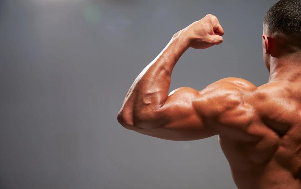 What are the steps to starting a safe anabolic steroid cycle?