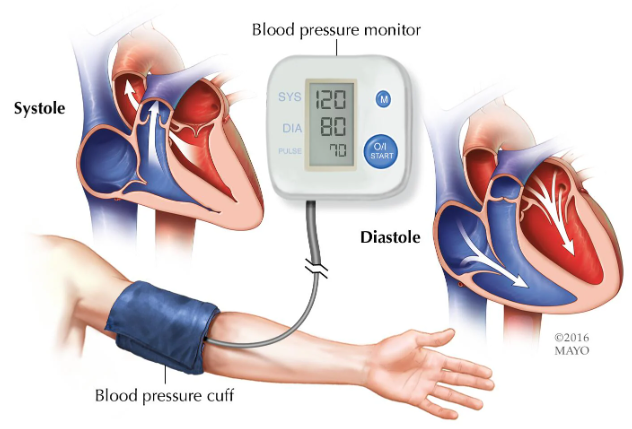 Does Retatrutide cause blood pressure to rise or fall?