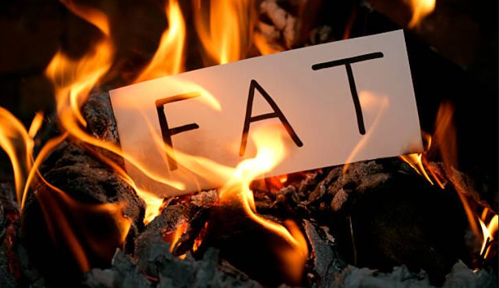In what order does the body burn fat?